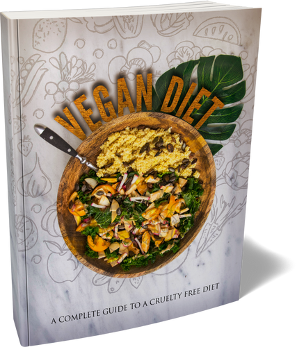 E-Book Vegan Diet